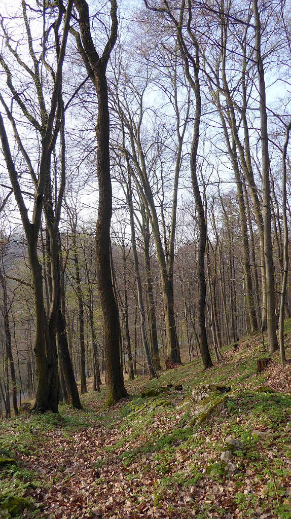 051_TZ60_P1090792_cr.jpg