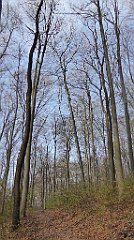 055_TZ60_P1090793_cr