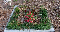 076_TZ60_P1090812_cr