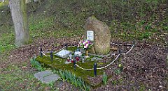 091_TZ60_P1090828_cr