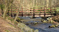 136_TZ60_P1090862_cr