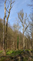 149_TZ60_P1090864_cr