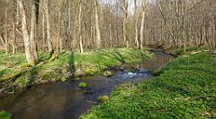 150_TZ60_P1090865_cr