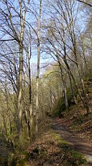 182_TZ60_P1090884_cr