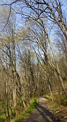 186_TZ60_P1090886_cr