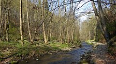 194_TZ60_P1090894_cr