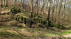 206_TZ60_P1090904_cr