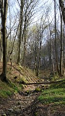 208_TZ60_P1090908_cr