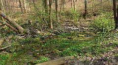 209_TZ60_P1090909_cr