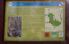 214_TZ60_P1090914_cr