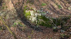 220_TZ60_P1090920_cr