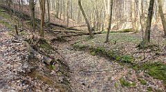 228_TZ60_P1090928_cr