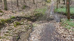 229_TZ60_P1090929_cr