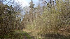 233_TZ60_P1090931_cr