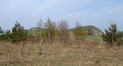 258_TZ60_P1090946_cr