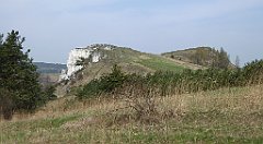 270_TZ60_P1090962_cr