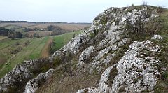 282_TZ60_P1090973_cr