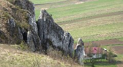 306_TZ60_P1100018_cr