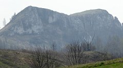 328_TZ60_P1100039_cr