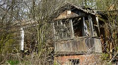 333_TZ60_P1100042_cr