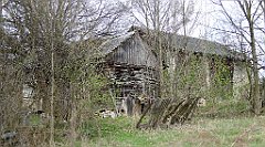 336_TZ60_P1100045_cr