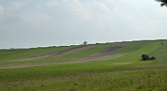 415_TZ60_P1100125_cr