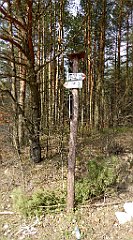 421_TZ60_P1100129_cr