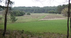 423_TZ60_P1100131_cr