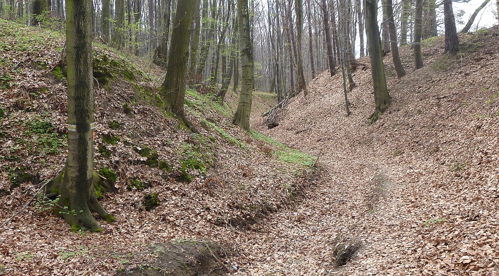 399_3D_P1070294_cr.jpg