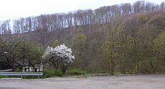 002_TZ60_P1100164_cr