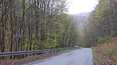 006_TZ60_P1100168_cr