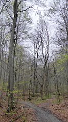 009_TZ60_P1100171_cr