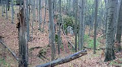 025a_IMG_20160416_072755_cr