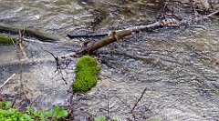 049_TZ60_P1100203_cr