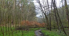 056_TZ60_P1100210_cr