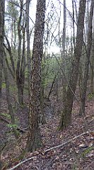 059_TZ60_P1100211_cr