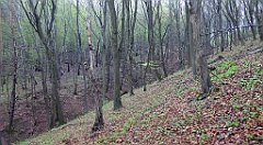 069_TZ60_P1100219_cr