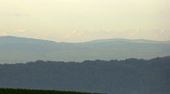 085_TZ60_P1100244_cr