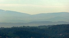 123_TZ60_P1100299_cr