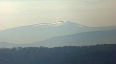 134_TZ60_P1100311_cr