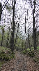 140a_TZ60_P1100315_cr