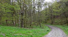 147_TZ60_P1100318_cr