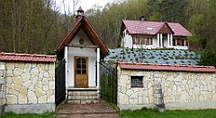 162_TZ60_P1100324_cr