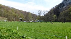 188_TZ60_P1100343_cr