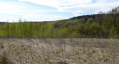 212_TZ60_P1100357_cr