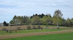 218_TZ60_P1100363_cr