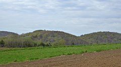 227_TZ60_P1100378_cr