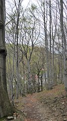 254_TZ60_P1100404_cr