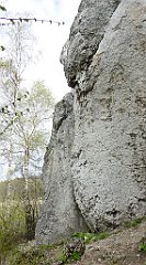 273_TZ60_P1100420_cr