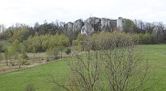 291_TZ60_P1100441_cr